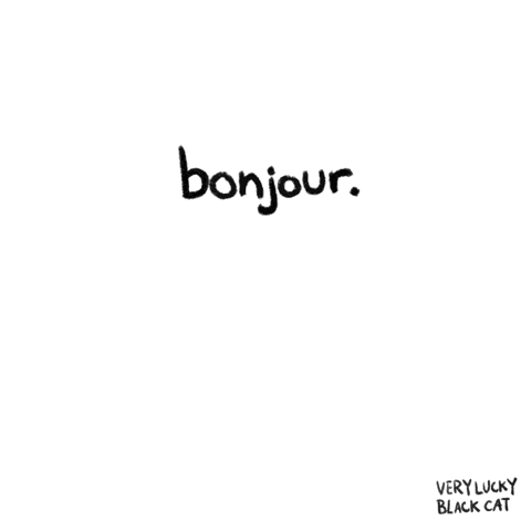 Black Cat Yellow Eyes Bonjour On Head GIF