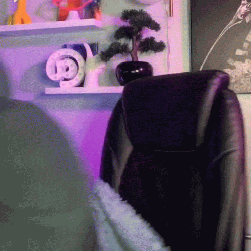 Black Chair in Front of Shelf With Snake and Bonsai Tree