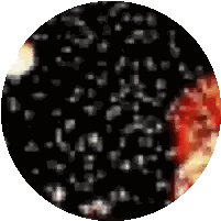 Black Circle with White Dots and Red Center