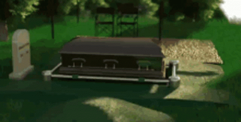 Black Coffin In Graveyard Next To Grave GIF