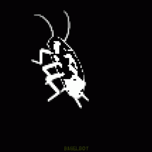 Black Dancing Cockroach GIF