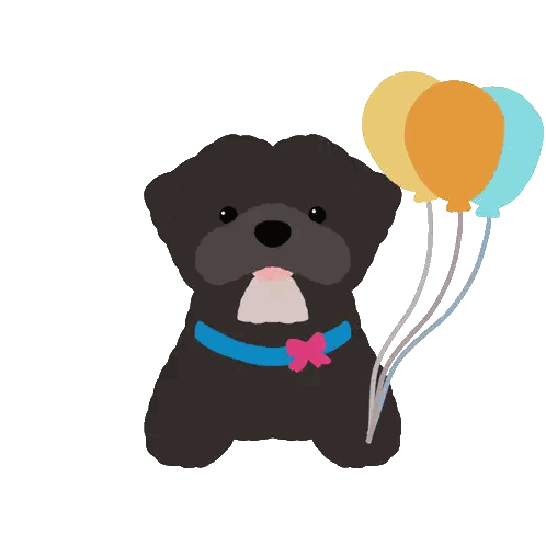 Black Dog Holding Balloons Happy Barkday