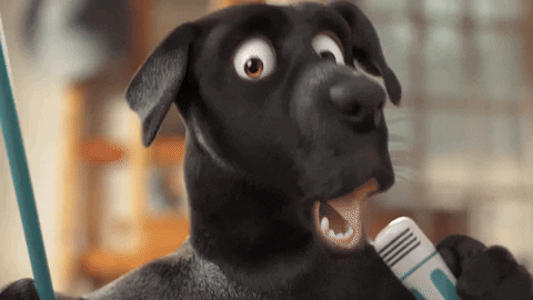 Black Dog Mic Drop Dancing GIF