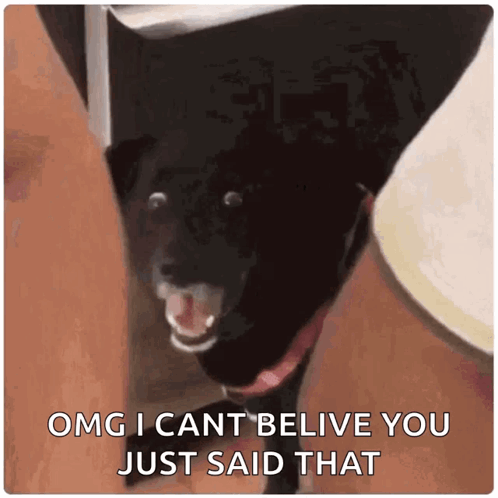 Black Dog Saying OMG I Cant Believe You Just Said That