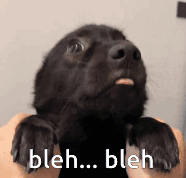 Black Dog Says Bleh Bleh