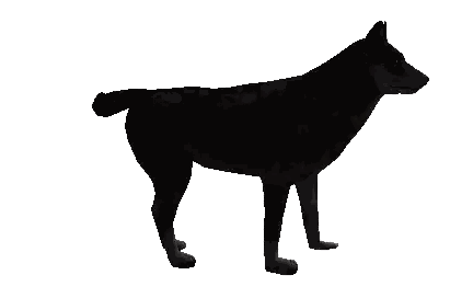 Black Dog Standing