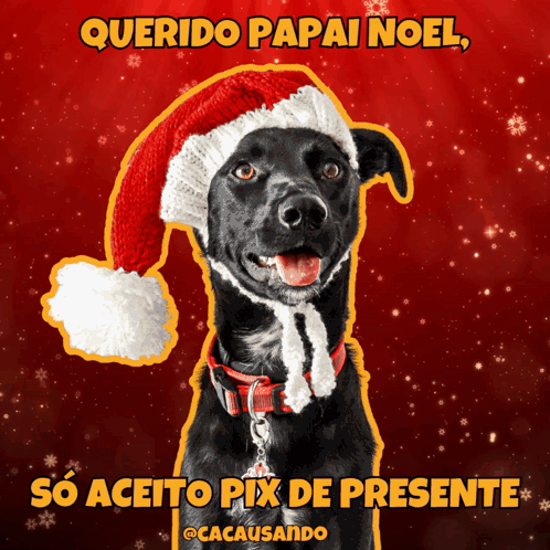 Black Dog Wearing Santa Hat