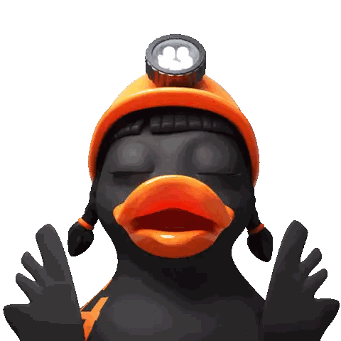 Black Duck Wearing Hard Hat