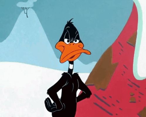 Black Duck With Orange Beak In Snowy Mountain GIF