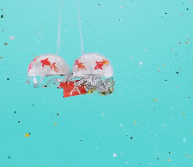 Black Friday Bargain Day Celebration GIF