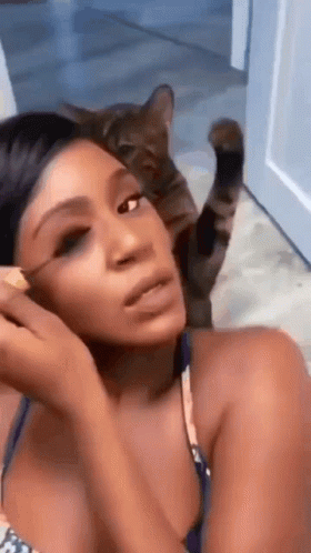 Black Girl Cat Hit GIF