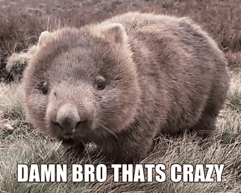 Black Heart With Love In Red And Blue GIF