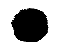 Black Hole Dark Circles Sticker GIF