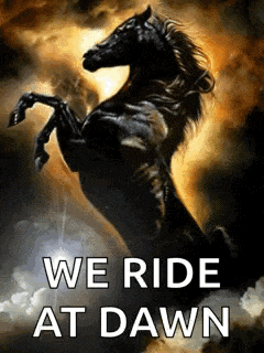 Black Horse on Hind Legs We Ride at Dawn