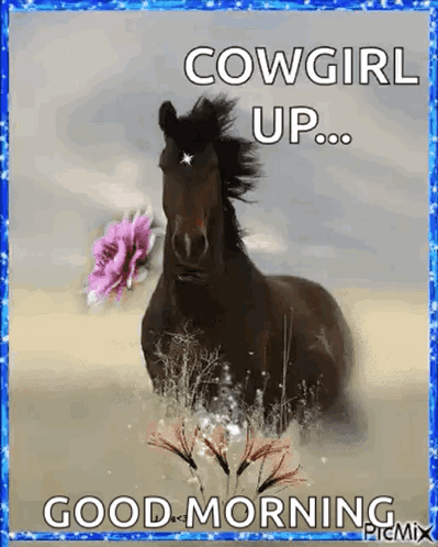 Black Horse With Pink Flower Saying Cowgirl Up Good Morning