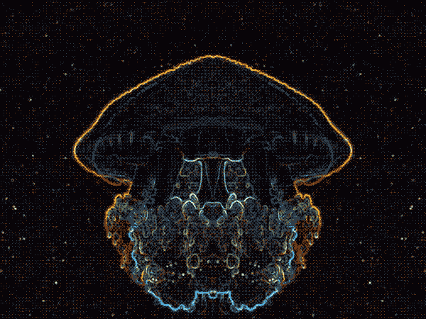 Black Jellyfish Animation GIF