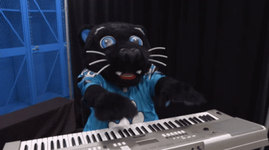Black Keyboard Cat Playing Music GIF