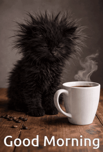 Black Kitten Next to Coffee Cup