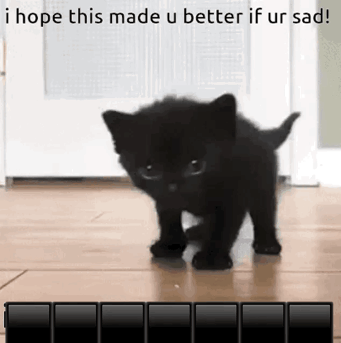 Black Kitten Walking On Wooden Floor I Hope This Made Ur Better If Ur Sad GIF