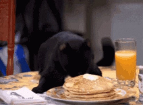 Black Kitty Loves Pancake GIF
