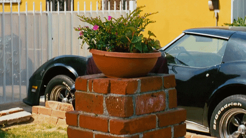 Black Man Gardening GIF