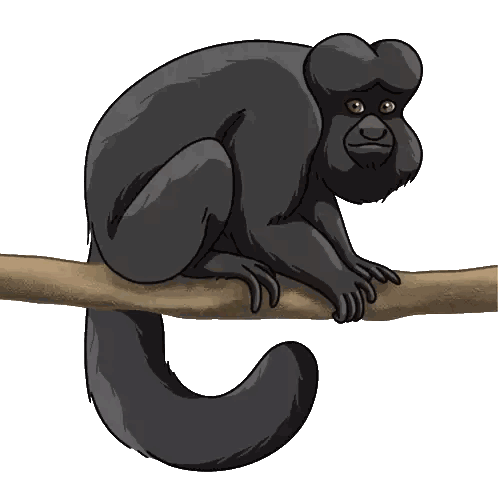 Black Monkey Sitting On Tree Branch