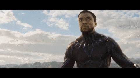 Black Panther Attacking Dragon Flyer GIF