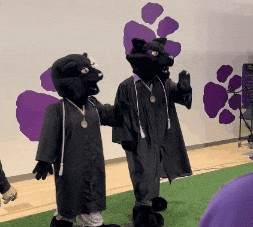 Black Panther Mascot Couple GIF