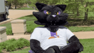 Black Panther Mascot Relax GIF