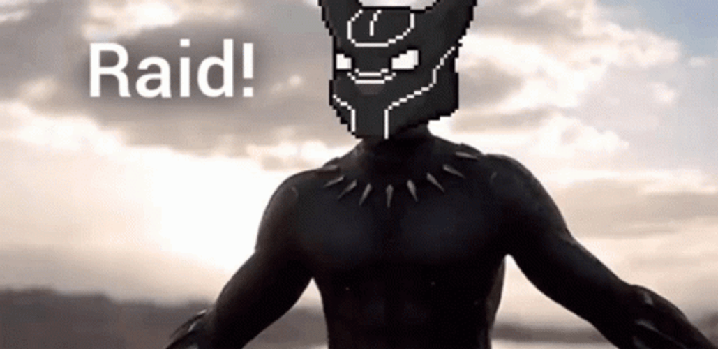 Black Panther Raid GIF