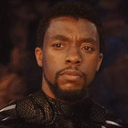 Black Panther Screaming Sun GIF