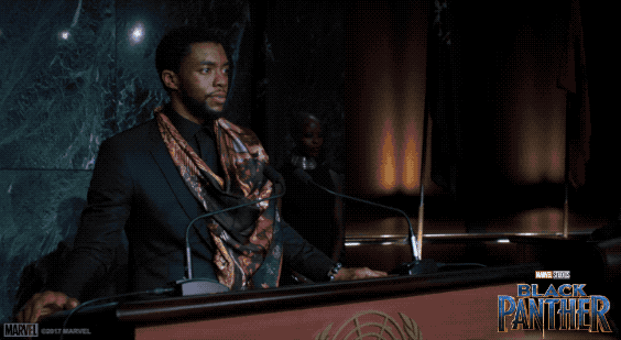Black Panther Speech GIF