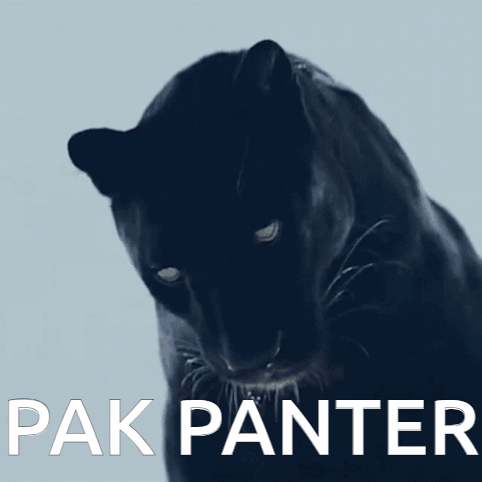 Black Panther with Pak Panther Text