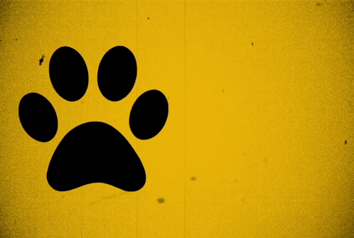 Black Paw Prints On A Yellow Background GIF