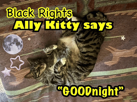 Black Rights Ally Kitty Saying Goodnight
