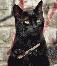 Black Sad Cat Nail Filing GIF