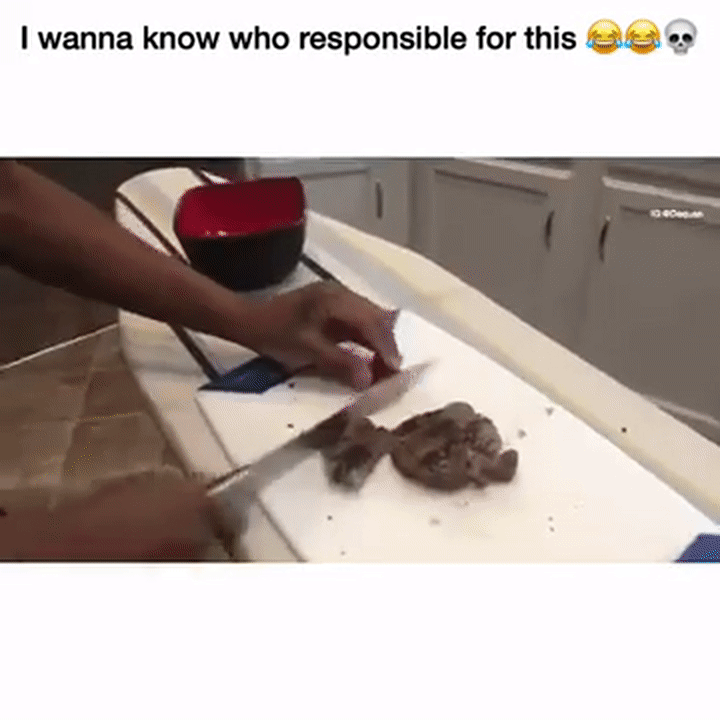 Black Salt Bae GIF