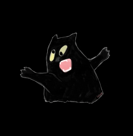 Black Screaming Cat Meme GIF