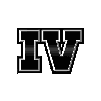 Black Silver Letter V