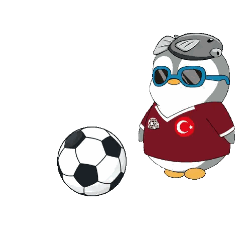 Black Soccer Ball with White Stripe