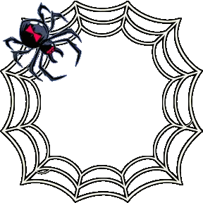 Black Spider Hanging From Web
