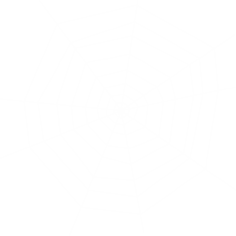 Black Spider on Web with S