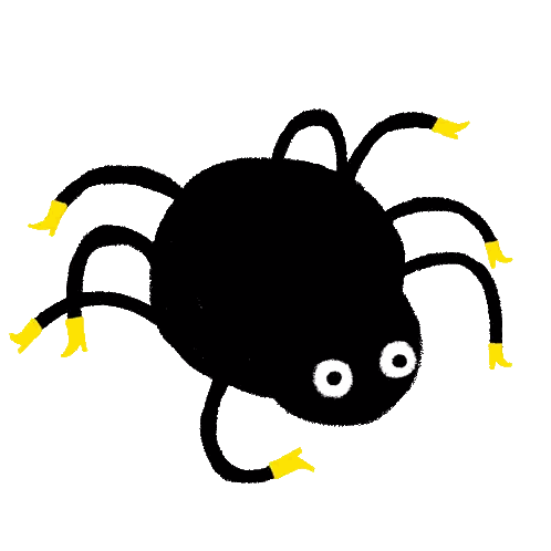 Black Spider with Yellow Legs and White Eyes