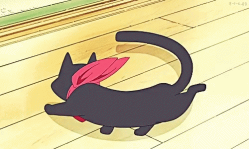 Black Spinning Cat Chasing Tail GIF