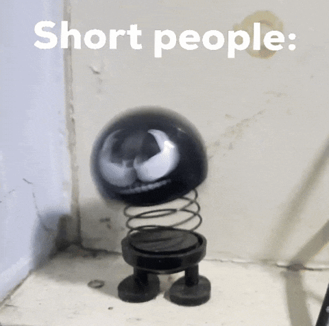 Black Spring Toy Short People