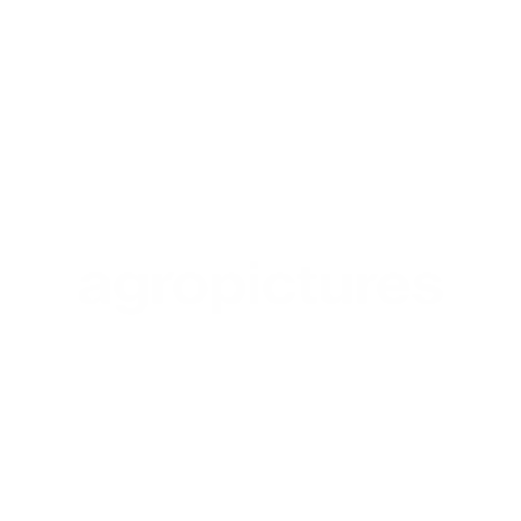 Black Square on White Background