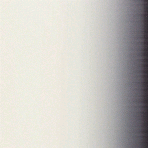 Black Supreme Judge Jackson Equality GIF