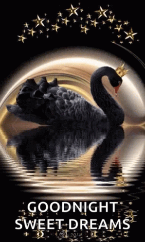 Black Swan Sweet Dreams GIF
