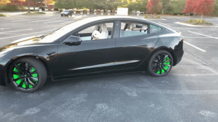 Black Tesla Model 3 In Reverse GIF