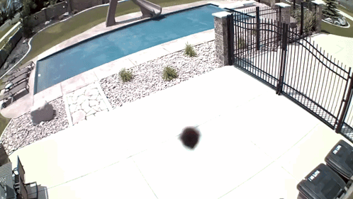 Black Trash Can with Trash Next to Pool